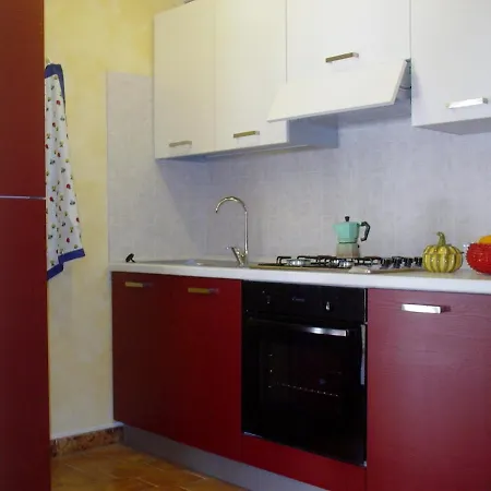 Palmizi Mt300 From Calasinzias