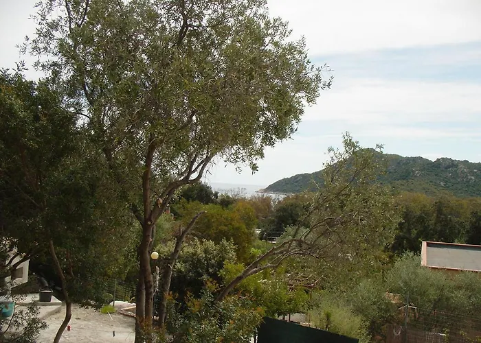 Palmizi Mt300 From Calasinzias * Cala Sinzias
